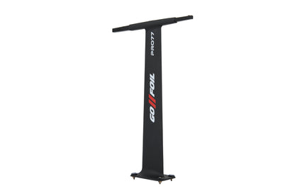 PRO77 MAST